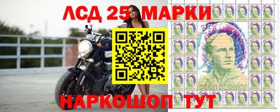Альфа ПВП Краснодар